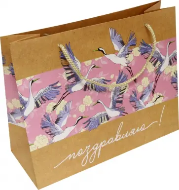 Пакет. Птицы на розовом обложка книги