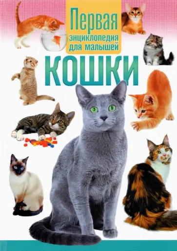 Кошки. Первая энциклопедия для малышей Кошки. Первая энциклопедия для малышей обложка книги