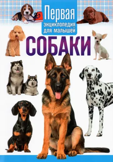 Собаки. Первая энциклопедия для малышей Собаки. Первая энциклопедия для малышей обложка книги