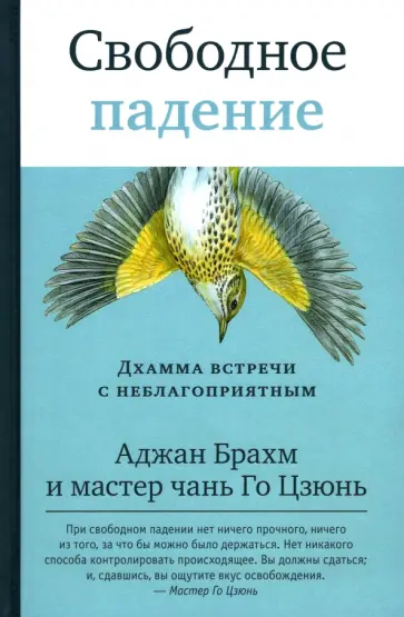 Аджан, Мастер - Свободное падение. Дхамма встречи с неблагоприятным обложка книги