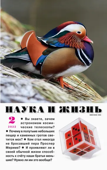 Журнал "Наука и жизнь" № 2. 2022 обложка книги