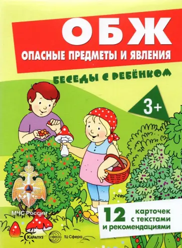 Вера Шипунова - ОБЖ. Опасные предметы и явления, 12 картинок с текстом на обороте, А5 обложка книги