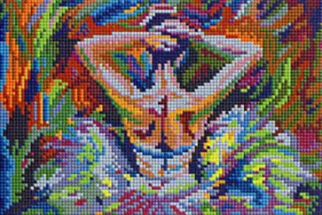 Алмазная мозаика Прекрасная балерина обложка книги