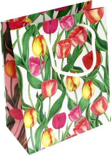 Пакет. Тюльпаны обложка книги