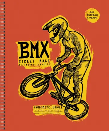 Тетрадь Фрирайд, А5, 96 листов, клетка, в ассортименте обложка книги