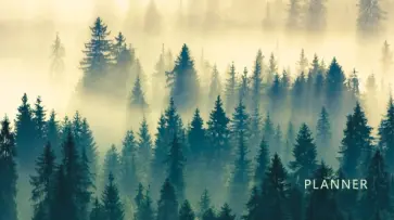 Планинг карманный недатированный Туманный лес, 64 листа обложка книги