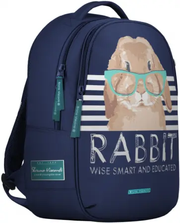 Рюкзак BE BANNY. BOY, эргономичный, суперлегкий, синий обложка книги
