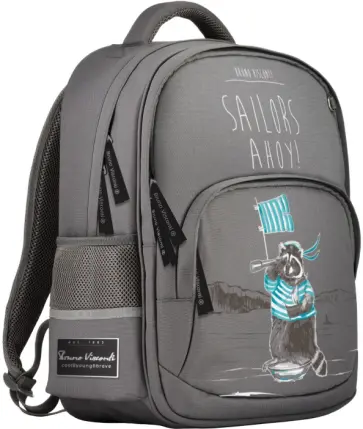 Рюкзак Жизнь Енота, серый с эргономичной спинкой обложка книги