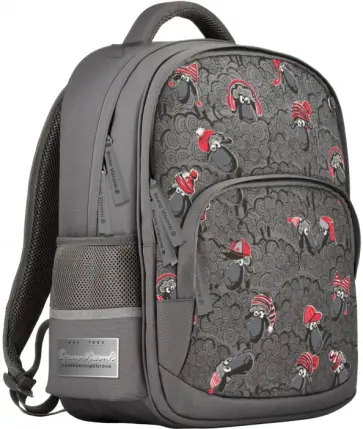 Рюкзак серый с эргономической спинкой БАРАШКИ Рюкзак серый с эргономической спинкой БАРАШКИ обложка книги