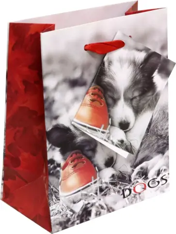 Пакет вертикальный Щенок обложка книги