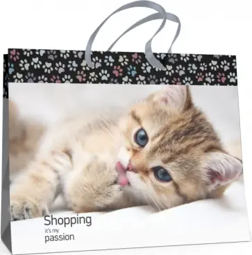 Пакет подарочный Котенок, горизонтальный обложка книги