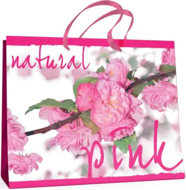 Пакет горизонтальный Сакура обложка книги