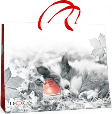 Пакет подарочный Щенок, горизонтальный обложка книги