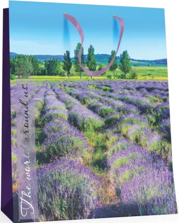 Пакет подарочный Природа, вертикальный обложка книги