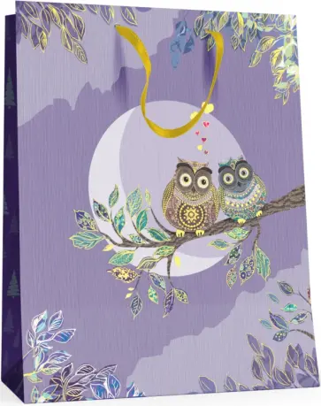 Пакет подарочный Совы, вертикальный обложка книги
