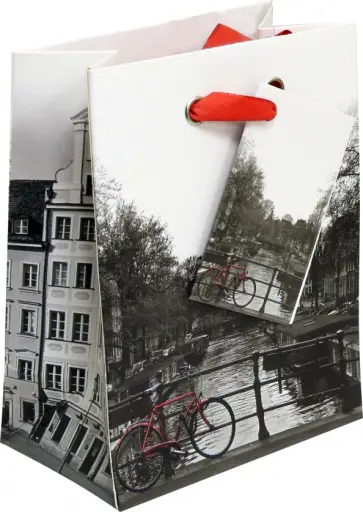 Пакет вертикальный Город и цвет обложка книги