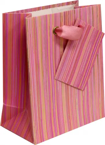 Пакет вертикальный Полоски обложка книги