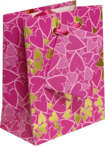 Пакет вертикальный Сердечки обложка книги