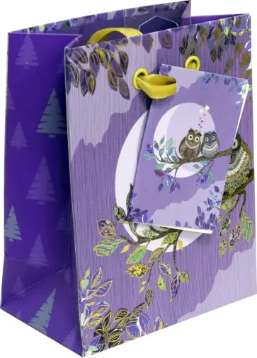 Пакет вертикальный Совы обложка книги