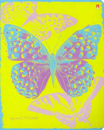 Тетрадь Волшебные бабочки, А5+, 48 листов, клетка, в ассортименте обложка книги