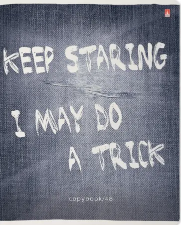 Тетрадь Джинса New, А5+, 48 листов, клетка, в ассортименте обложка книги