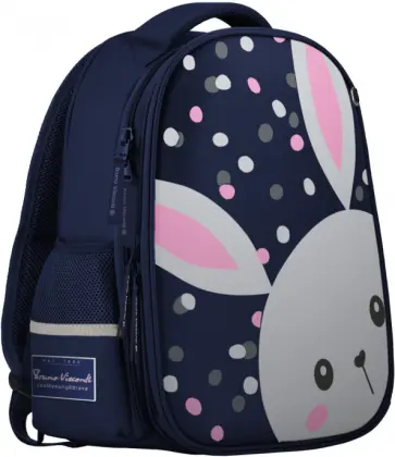 Рюкзак-капсула с эргономической спинкой УШАСТИК, синий обложка книги