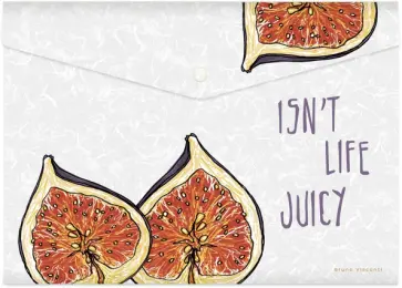 Папка-конверт на кнопке Фрукты, А4 обложка книги