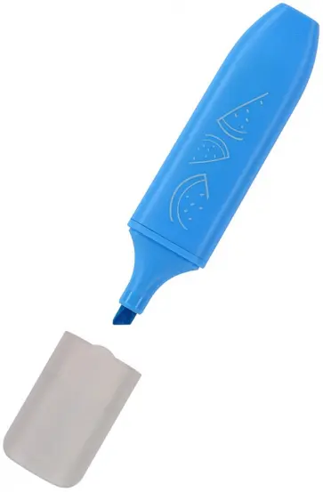 Текстовыделитель LadyMarker, голубой обложка книги