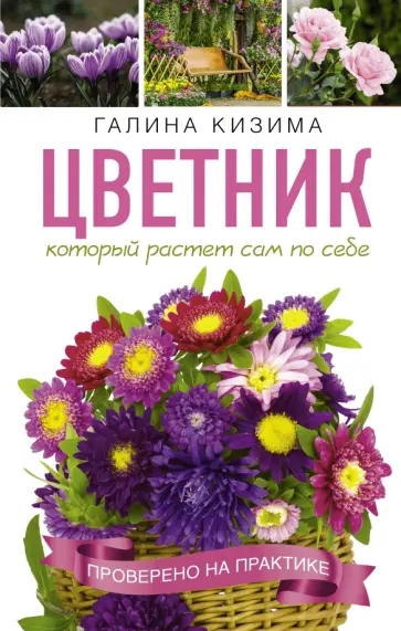 Галина Кизима - Цветник, который растет сам по себе обложка книги