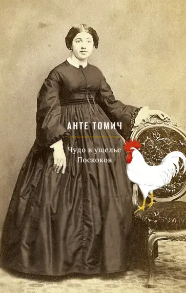 Анте Томич - Чудо в ущелье Поскоков обложка книги