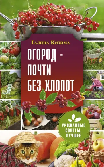 Галина Кизима - Огород - почти без хлопот обложка книги