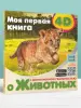 Миниатюра 3