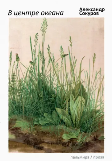 Александр Сокуров - В центре океана. Эссе, рассказы Александр Сокуров - В центре океана. Эссе, рассказы обложка книги