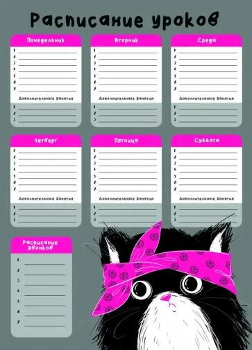 Расписание уроков Хип Хоп Команда, А3 Расписание уроков Хип Хоп Команда, А3 обложка книги