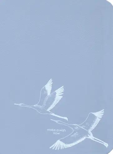 Ежедневник недатированный Wish, 96 листов, серый обложка книги