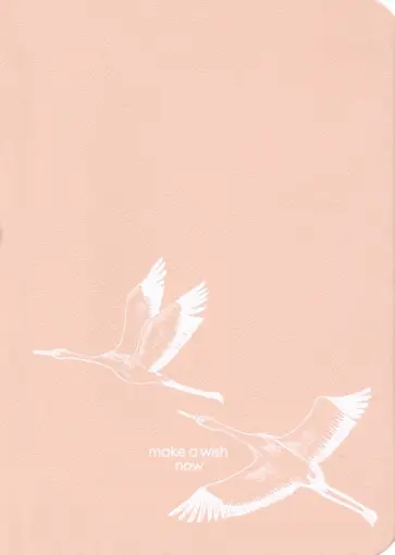 Ежедневник недатированный Wish, 96 листов обложка книги