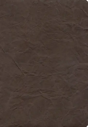 Ежедневник недатированный Modern, 96 листов, коричневый обложка книги