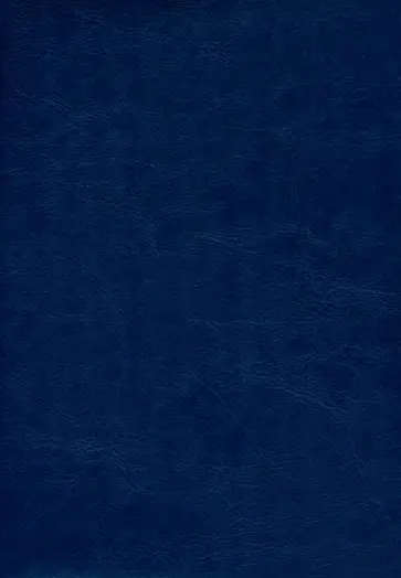 Ежедневник недатированный Berlin. Синий, А5, 160 листов обложка книги