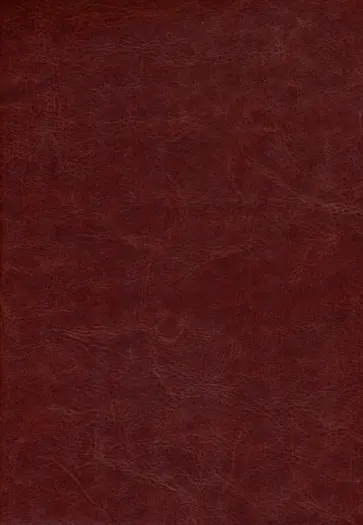 Ежедневник недатированный Berlin. Коричневый, А5, 160 листов обложка книги