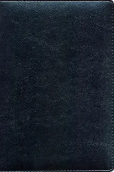 Ежедневник недатированный Berlin, 160 листов, А5, черный обложка книги