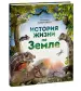 Миниатюра 2