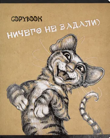 Тетрадь Эмоциональные коты, А5+, 48 листов, клетка, в ассортименте Тетрадь Эмоциональные коты, А5+, 48 листов, клетка, в ассортименте обложка книги