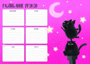 Расписание уроков Дотянись до звезд, А4 обложка книги