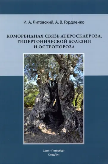 Литовский, Гордиенко - Коморбидная связь атеросклероза, гипертонической болезни и остеопороза обложка книги