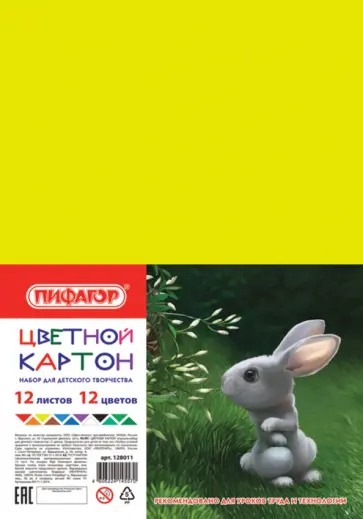 Картон цветной Пифагор, 12 листов, 12 цветов, А4 обложка книги