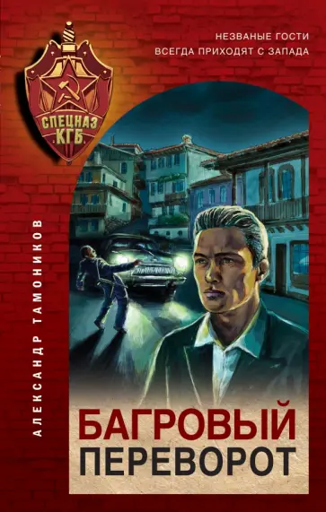 Александр Тамоников - Багровый переворот обложка книги