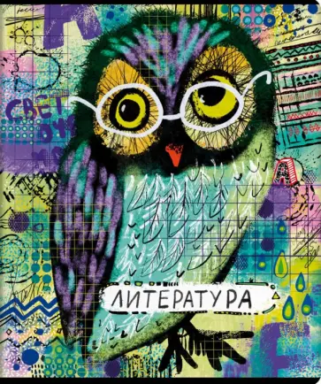 Тетрадь предметная Граффити. Литература, 48 листов обложка книги