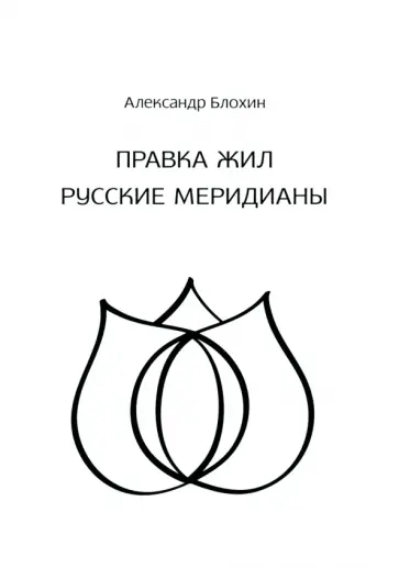 Александр Блохин - Правка жил. Русские меридианы обложка книги