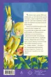 Миниатюра 3