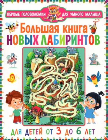 Большая книга новых лабиринтов. Для детей от 3 до 6 лет обложка книги